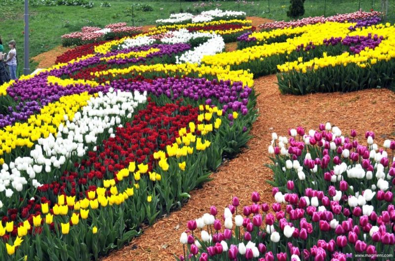 Фестивалът на лалето в Истанбул, Принцови острови снимка 17