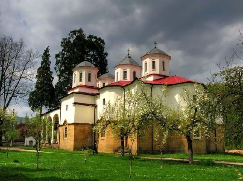Берковица, Чипровци, Чипровски и Лопушански манастир снимка 8