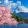 Екскурзия в ЯПОНИЯ - Токио, Фуджи, Киото, Осака миниатюра 6